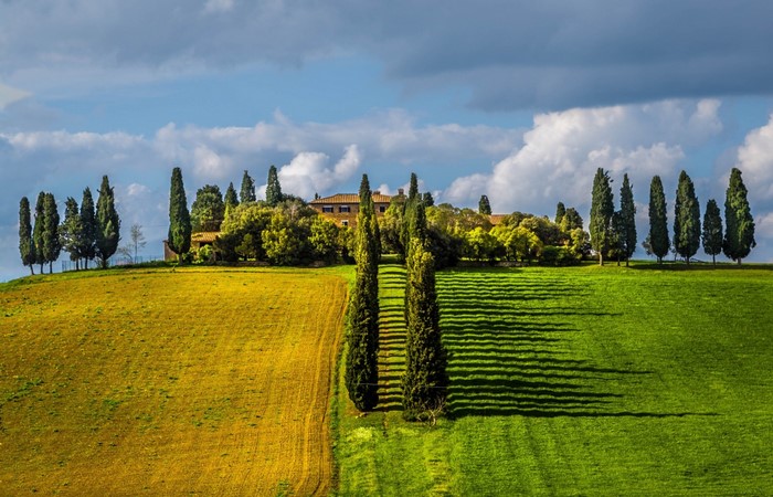 Tuscan Villa surrounded by cypress trees and rolling hills