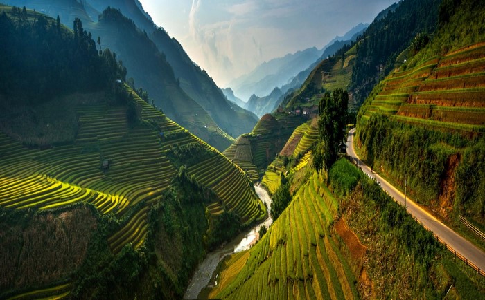 Terraced Rice Fields and Mountain Valley in Vietnam