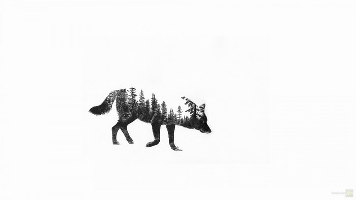 Wolf silhouette filled with a forest landscape