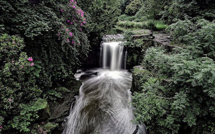 Waterfall flowing through a dense green forest with pink flowers