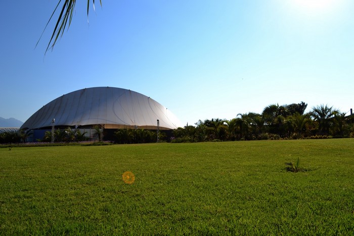 Large dome building with palm trees and green field