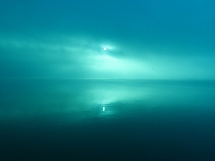 Sunlight reflecting on the ocean