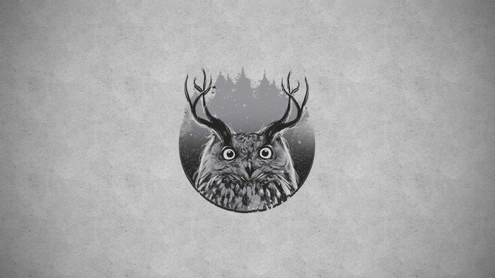Monochrome illustration of an owl with antlers