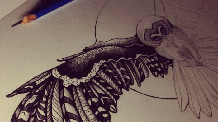 Drawing of an owl with detailed wings and a pencil
