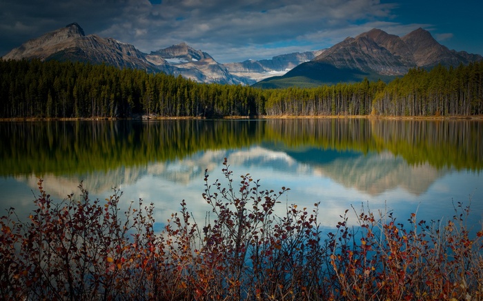 Lake reflection of mountains and forest