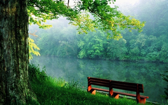Serene Morning by River with Mist and Greenery