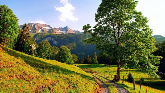 Mountain valley with a dirt path and trees
