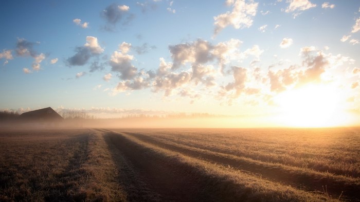Sunrise over a misty field with a barn