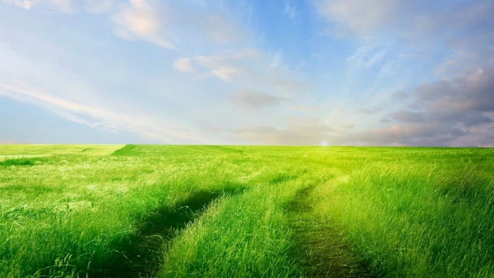Green field with a path under a blue sky