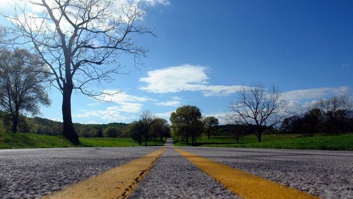 Empty road through a grassy landscape with trees under a blue sky
