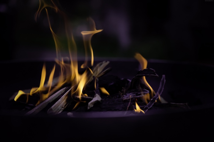 Close-up of a bonfire with flames and wood