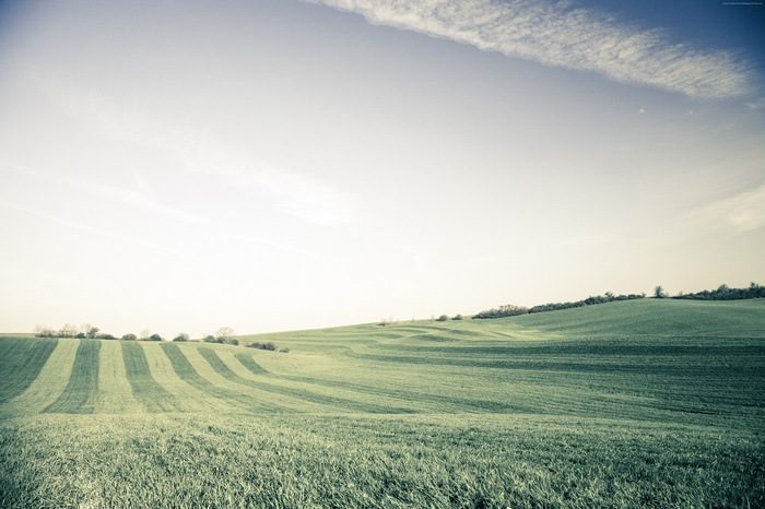 Green Meadows in Ansbach, Germany 4K
