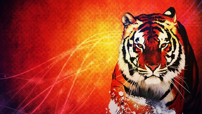 Tiger illustration with red and orange background