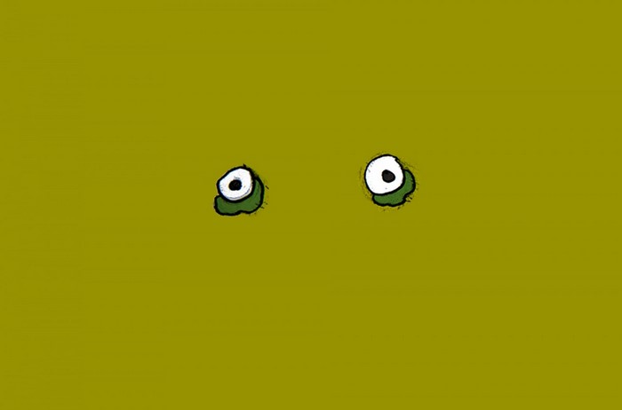 Minimalist cartoon eyes on a green background