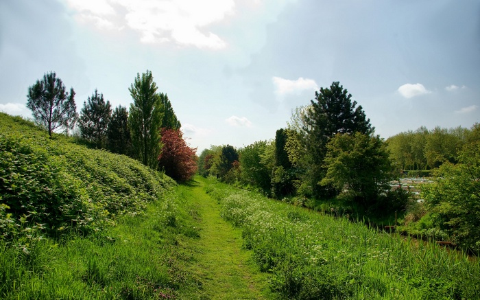 A grassy path winds through a green landscape with trees