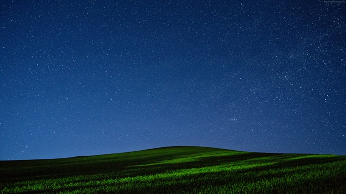 Night sky full of stars over a green meadow
