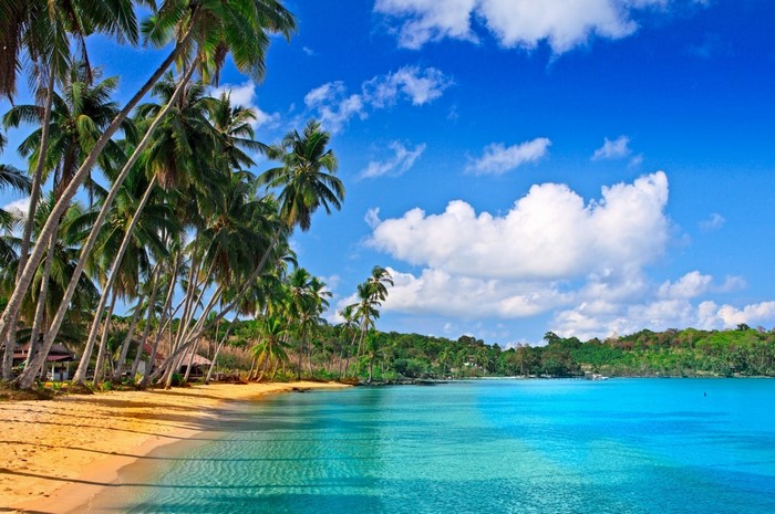 Tropical beach with palm trees and turquoise water