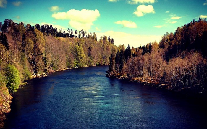 River flowing through a forest with trees and clouds