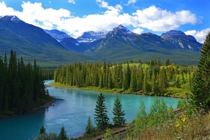 Turquoise river flowing through a pine forest with snow-capped mountains