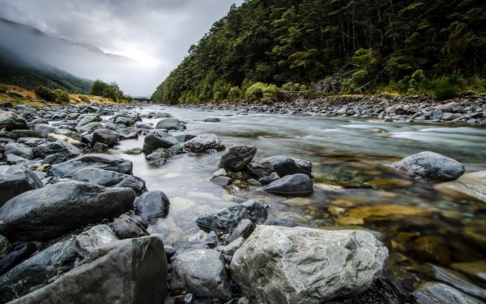 Rocky river flowing through a forest with misty mountains