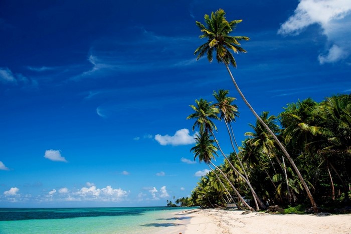 Tropical beach with palm trees and turquoise water