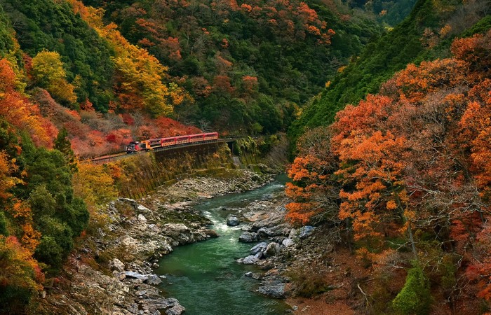 Train traveling through a valley during autumn
