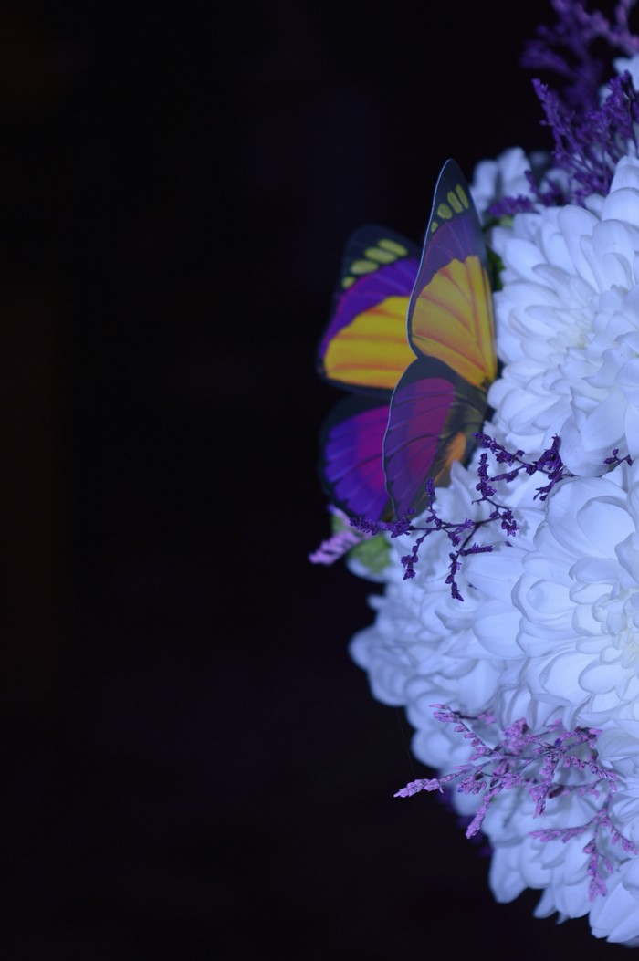 Artificial butterfly on white flowers