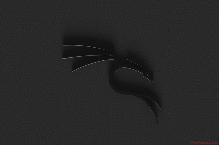 Kali Linux logo on a dark textured background