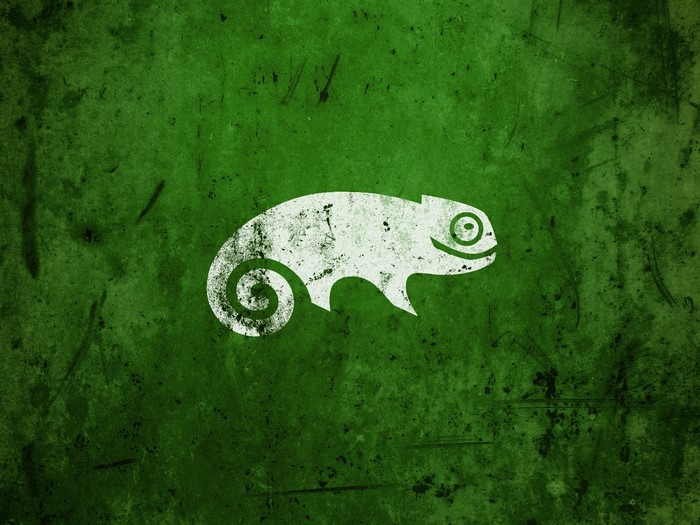 White chameleon logo on green textured background