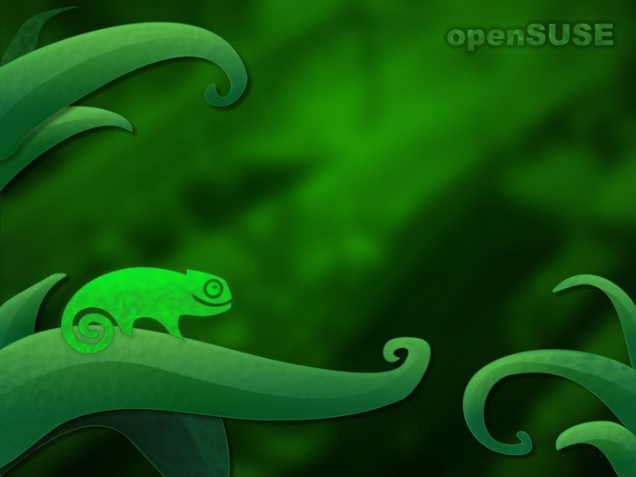 Green chameleon on a branch with openSUSE logo