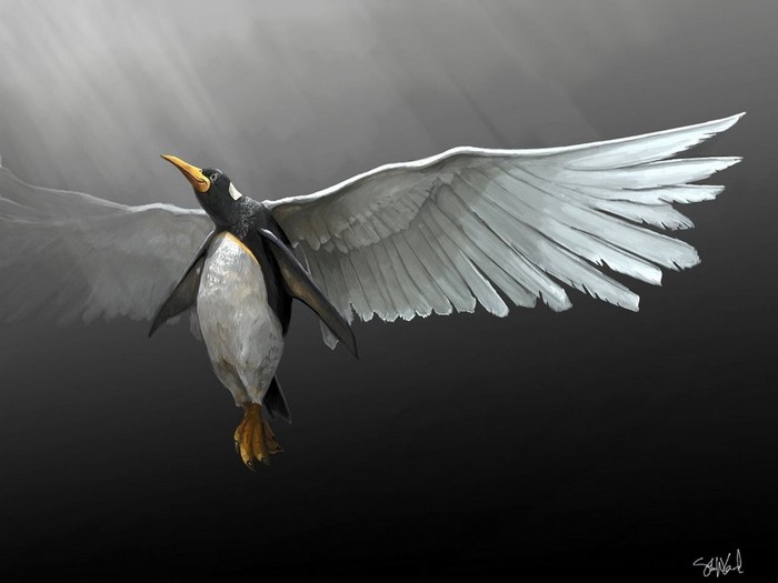 Penguin with large white wings in flight