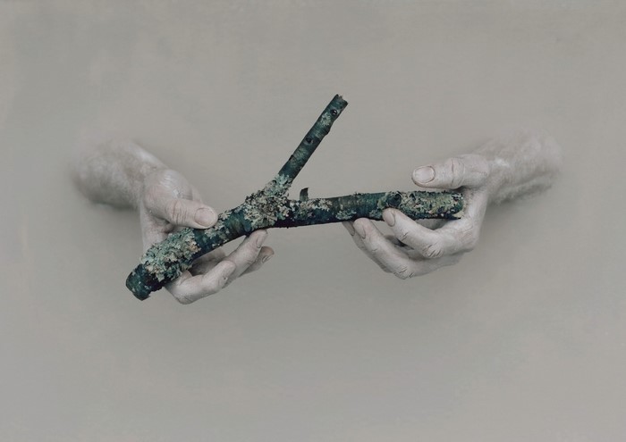 Hands holding a mossy branch in murky water