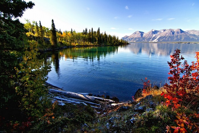 Autumn forest reflecting in a clear lake with mountains in the background