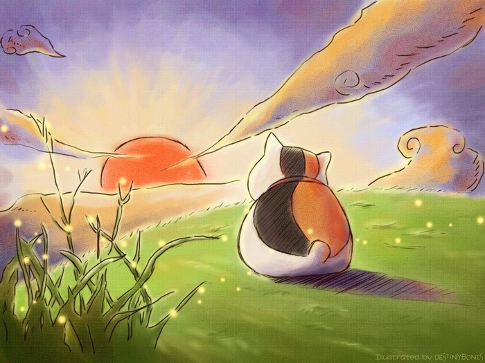 Calico cat watching the sunset over a grassy hill