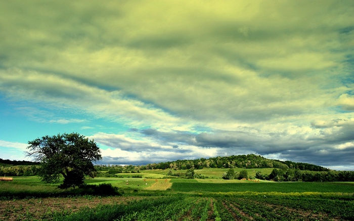 Green fields and rolling hills under a cloudy sky