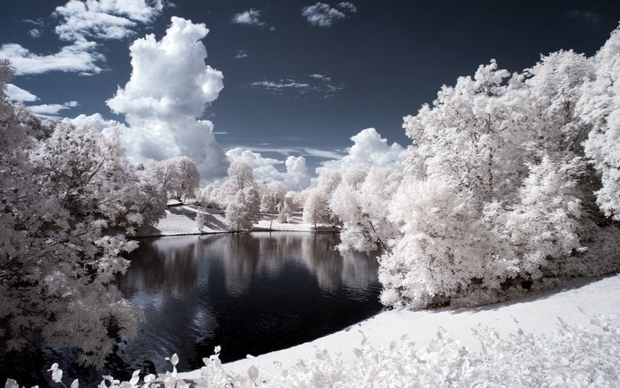 Infrared landscape with lake and trees in winter
