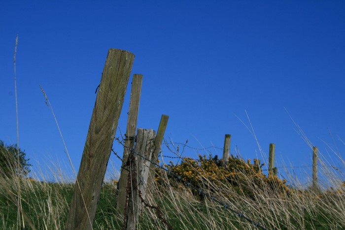 Wooden fence posts with barbed wire in a grassy field under a blue sky