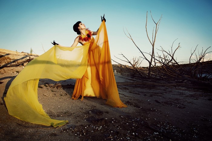 Woman in yellow dress in desert with branches