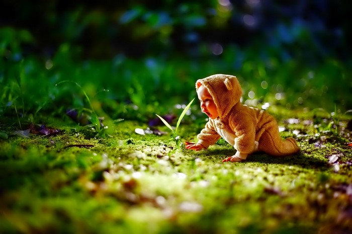 Baby in bear costume crawling on grass in sunlight