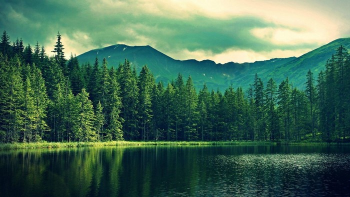 Forest lake with mountains and cloudy sky