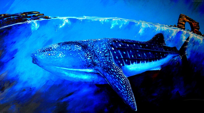 Whale Shark swimming underwater near rock arch