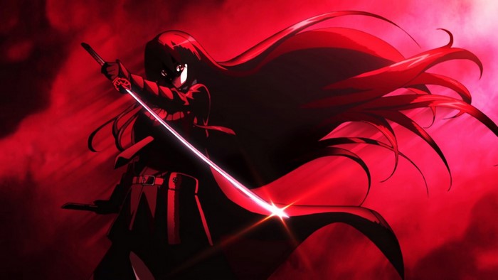 Akame from Akame ga Kill with a sword