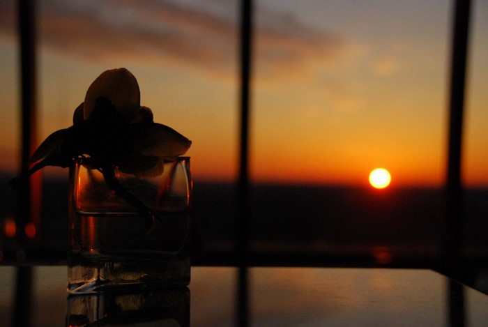 Flower in glass at sunset