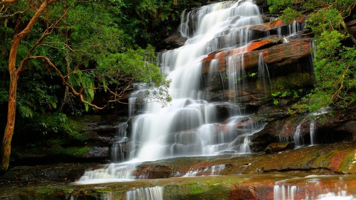 Waterfall cascading over rocks in a forest