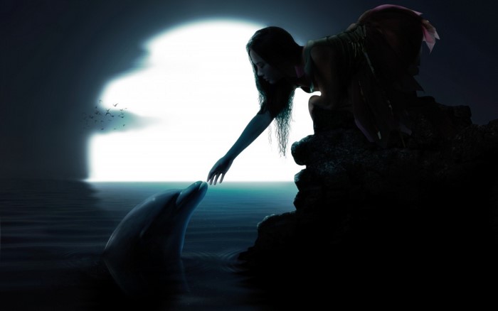 Moonlit Dolphin and Girl Silhouette