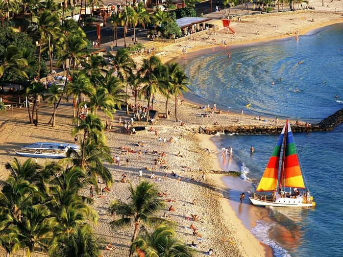 Sailboat with colorful sails on a tropical beach with palm trees