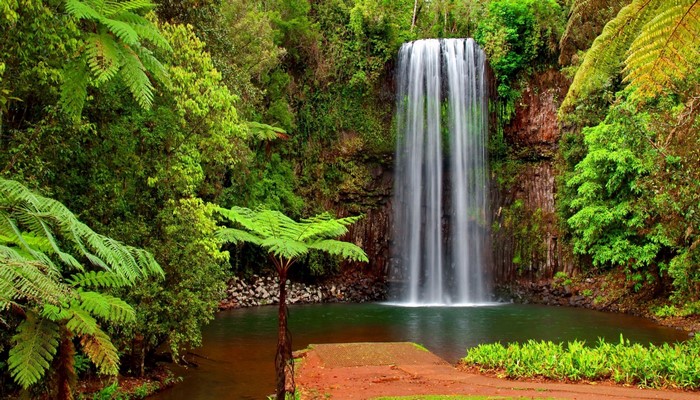 Serene Green Waterfall in Lush Forest