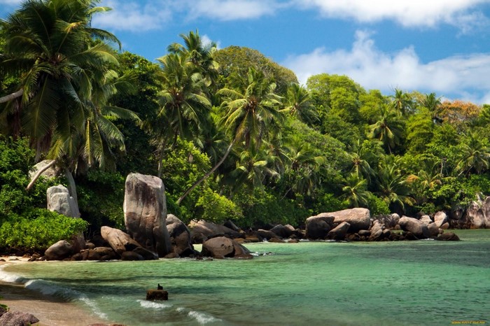 Tropical beach with palm trees and granite boulders