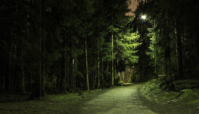 Path through a dark forest at night with a street light