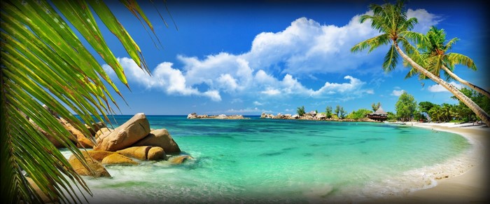 Tropical beach with palm trees and turquoise water